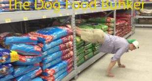 Toilet Paper Fort – Dog Food Edition