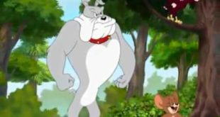 Tom And Jerry: In The Dog House, Cartoon For Kids