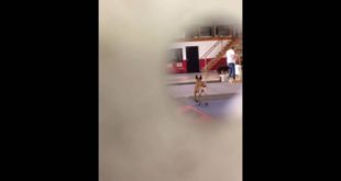 Tony Lampert of Sit Means Sit aggressive training dog with Shock “E” collar