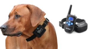Top 5 Best Bark Collar 2016 Dog Bark Collar