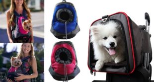 Top 5 Best Dog Carrier Best Cheap Dog Carriers Cheap Dog Carriers for Small Dogs