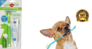 Top 5 Best Dog Toothbrush Reviews 2016 Best Toothbrush for Small Dogs