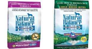 Top 5 Best Natural Balance Dog Food Reviews 2016 Best Dog Food Brands