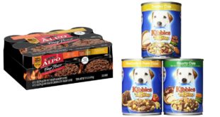 Top 5 Best Wet Dog Food Reviews 2016 Best Wet Food for Dogs