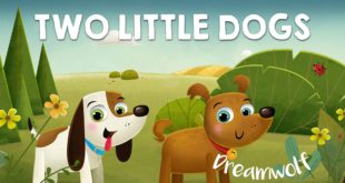 Two little dogs – lovely song for kids