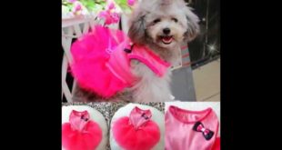 Urparcel Pet Cat Princess Tutu Dress Bow Bubble Skirt Puppy Clothes Dog Dress Apparel Pink