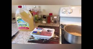 VERY SIMPLE WET PUPPY FOOD RECIPE