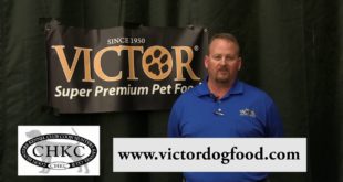 Victor Dog Food Promo
