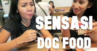 VLOG 1 | RISTA BIKIN VIDEO LAGI SAMBIL MAKAN DOG FOOD?