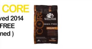 What Is The Best Dog Food – What Is The Best Dog Food