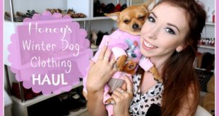 Winter Dog Clothing Haul ♡ Honey