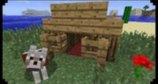 World Gamer’s Dream Land-continuing building my dog house #6