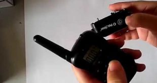 WT738 NEW DOG TRAINING COLLAR