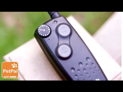 Your New Dog Training Assistant | PA-300 PetPal Electronic Dog Collar | D
