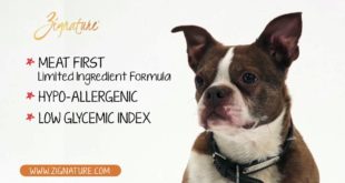 Zignature Dog Food