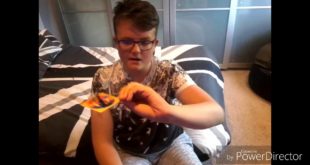 13 YEAR OLD EATS CANNED DOG FOOD!!!! BEEN BOZZELD CHALLENGE