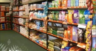 Best Food Place For Dog in Delhi