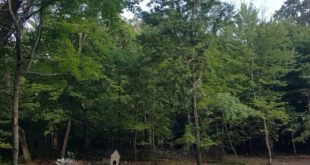 Blowing up dog house with tannerite