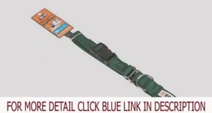 Check GoGo Pet Products GoGo 3/4-Inch Martingale Dog Collar, Medium, Hunter Green Product images