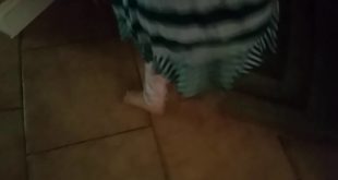 CRAZY DOG IN THE HOUSE!!!