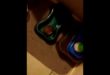 Crazy kitten wants dog food!