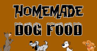 DIY: Homemade Dog Food