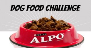 Dog Food Challenge (Thanks Alpo)