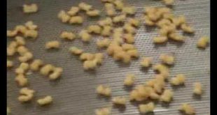 Dog Food Processing Line/Animal Feed Making Machine
