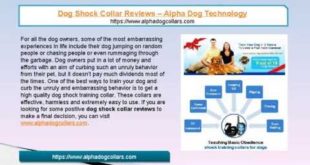 Dog Shock Collar Reviews – Alpha Dog Technology