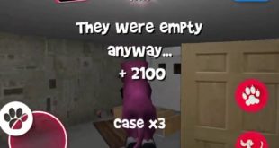 Dog simulator 2015: 57 549 points in House 1 by night!
