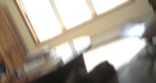 Dog wants my food