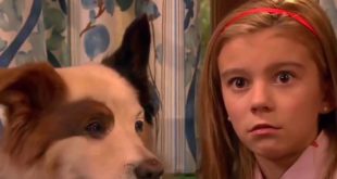 Dog With A Blog S1 | Epi1 Stan of the House Full Episode