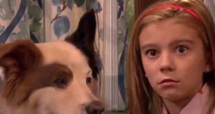 Dog With A Blog Season 1 Episode 1 stan of the house full episode