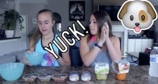 Dog/Baby Food challenge
