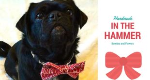 Dogs wearing stylish bowties and flowers from Handmade In The Hammer!