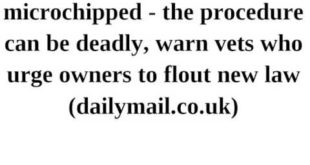 Don’t get your dogs microchipped – procedure can be deadly, warn vets urging owners to flout law