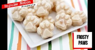 Frosty Paws Dog Treat
