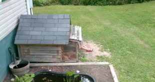 Hanging in the doghouse