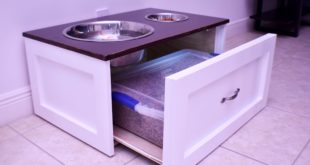 homemade food dog table   صنع طاولة طعام كلاب