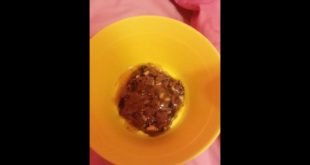 How to make dog food 2