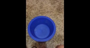 How to make dog food 3