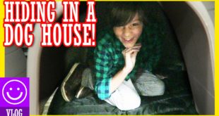 KID STUCK IN DOG HOUSE!!  |  KITTIESMAMA