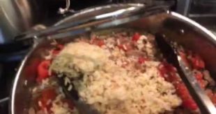 Making Dog Food for overweight #PTSD Dog