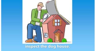 National Dog House Repair Month  July 2016