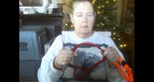 Nite Ize Collar Review
