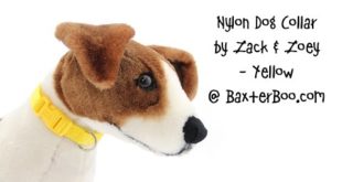 Nylon Dog Collar by Zack & Zoey – Yellow