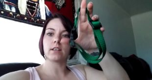 Product review for Majestic Pet Best Dog Collar #majesticpet