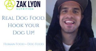 Real Dog Food – Hook your Dog up with healthy, delicious food – Zak Lyon Nutrition
