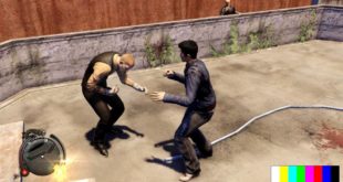 Sleeping dogs gameplay on AMD Raedon 5450 (small fight scene
