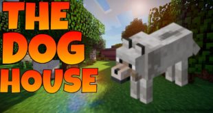 The Dog House!